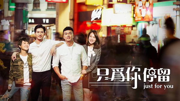 只为你停留全集