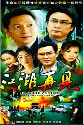 江湖再见全集