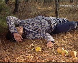 蓝狐之恋全集