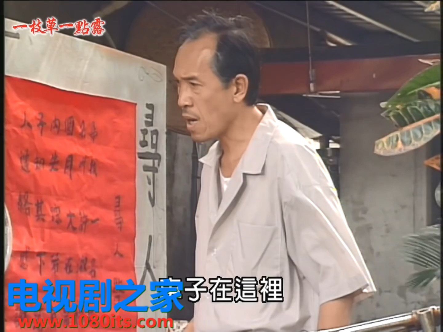 一枝草一点露全集