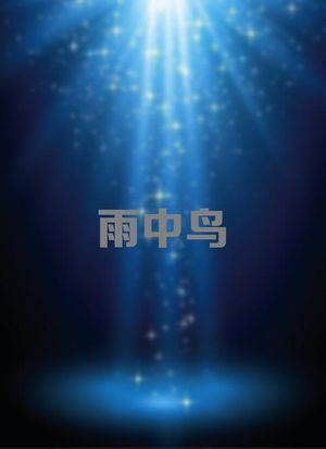 雨中鸟全集