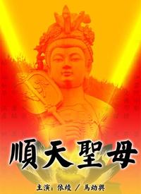 顺天圣母全集