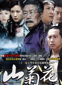 山菊花全集