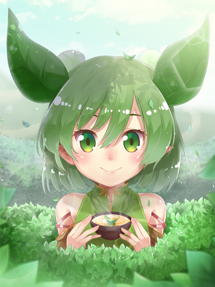 茶叶少女全集