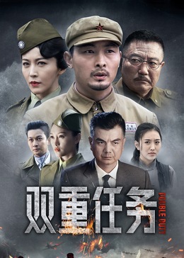 双重任务全集