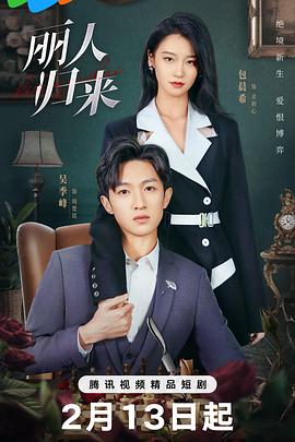丽人归来全集